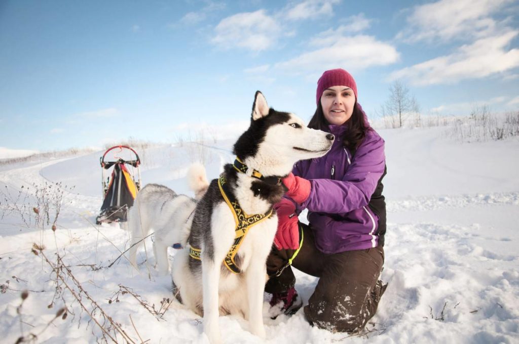 Best dogs to go running with